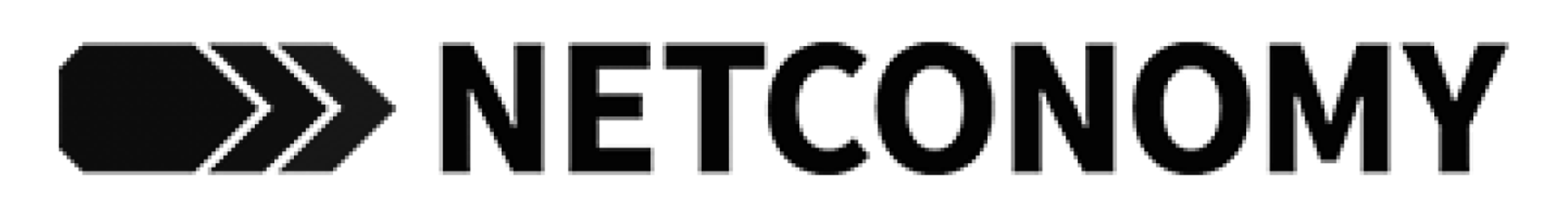 Netconomy Logo