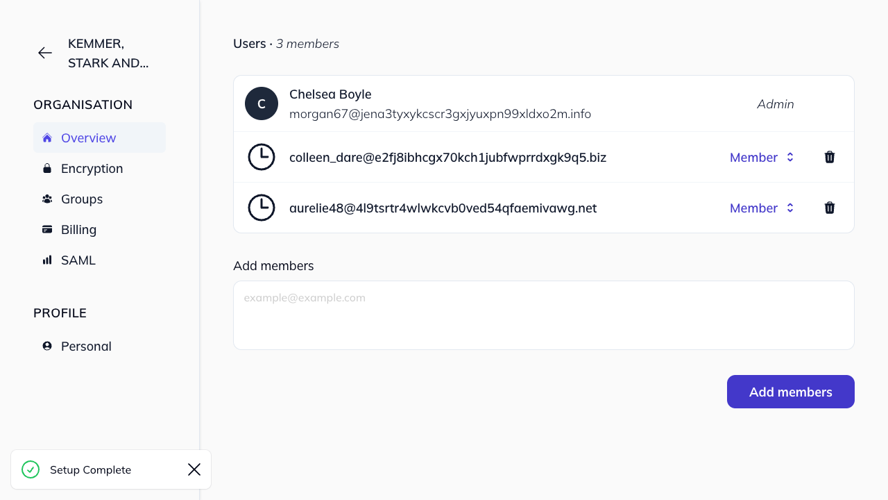 Organization overview